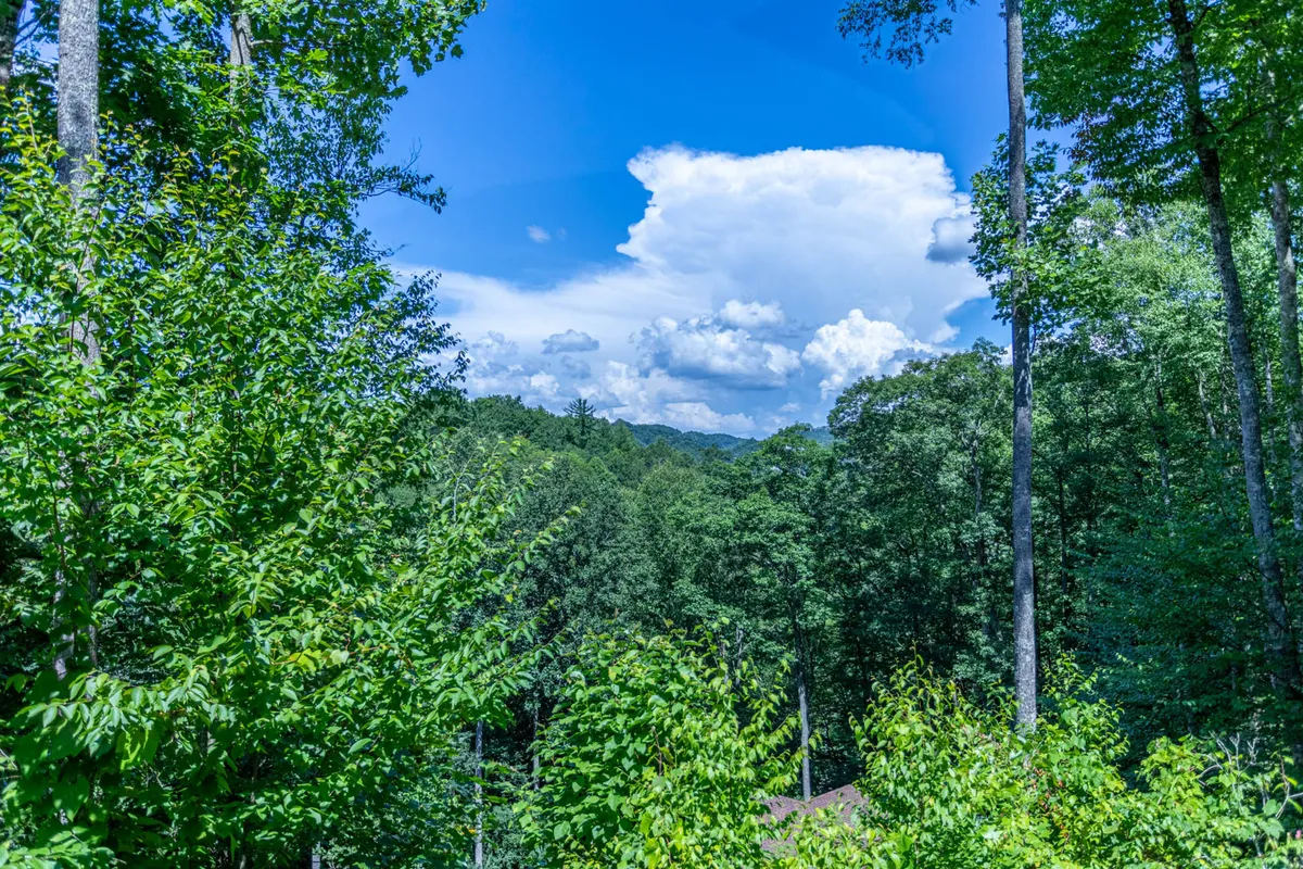 A scenic view of lush green trees under a blue sky dotted with clouds, suggesting hiking, outdoor play, and exploration in a peaceful natural setting.